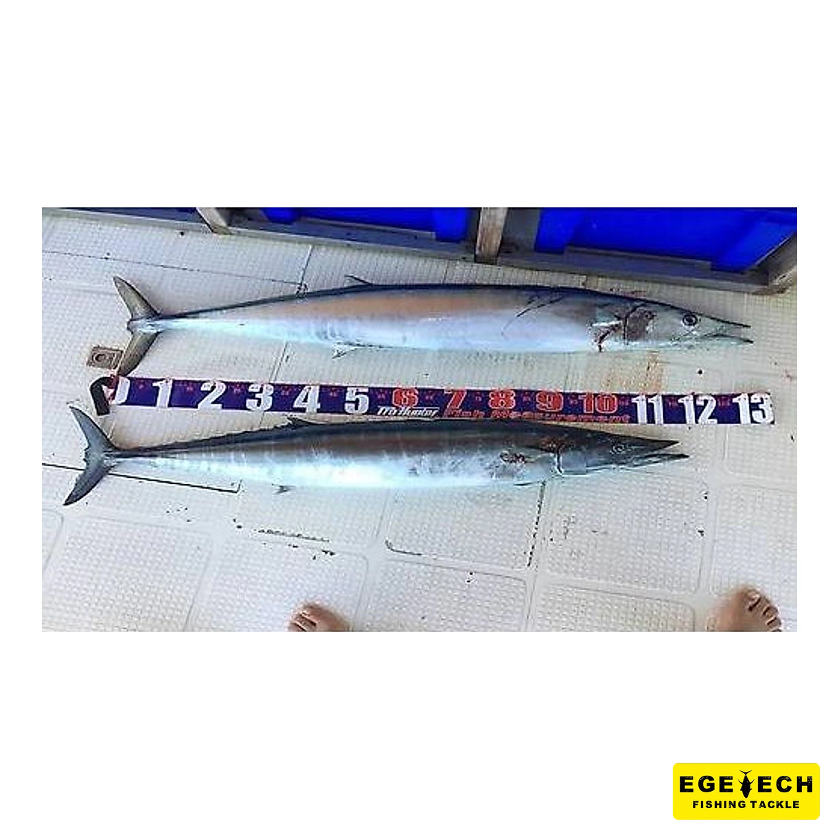 Pro Hunter balık metresi 150 cm ölçüm aparatı görsel 4