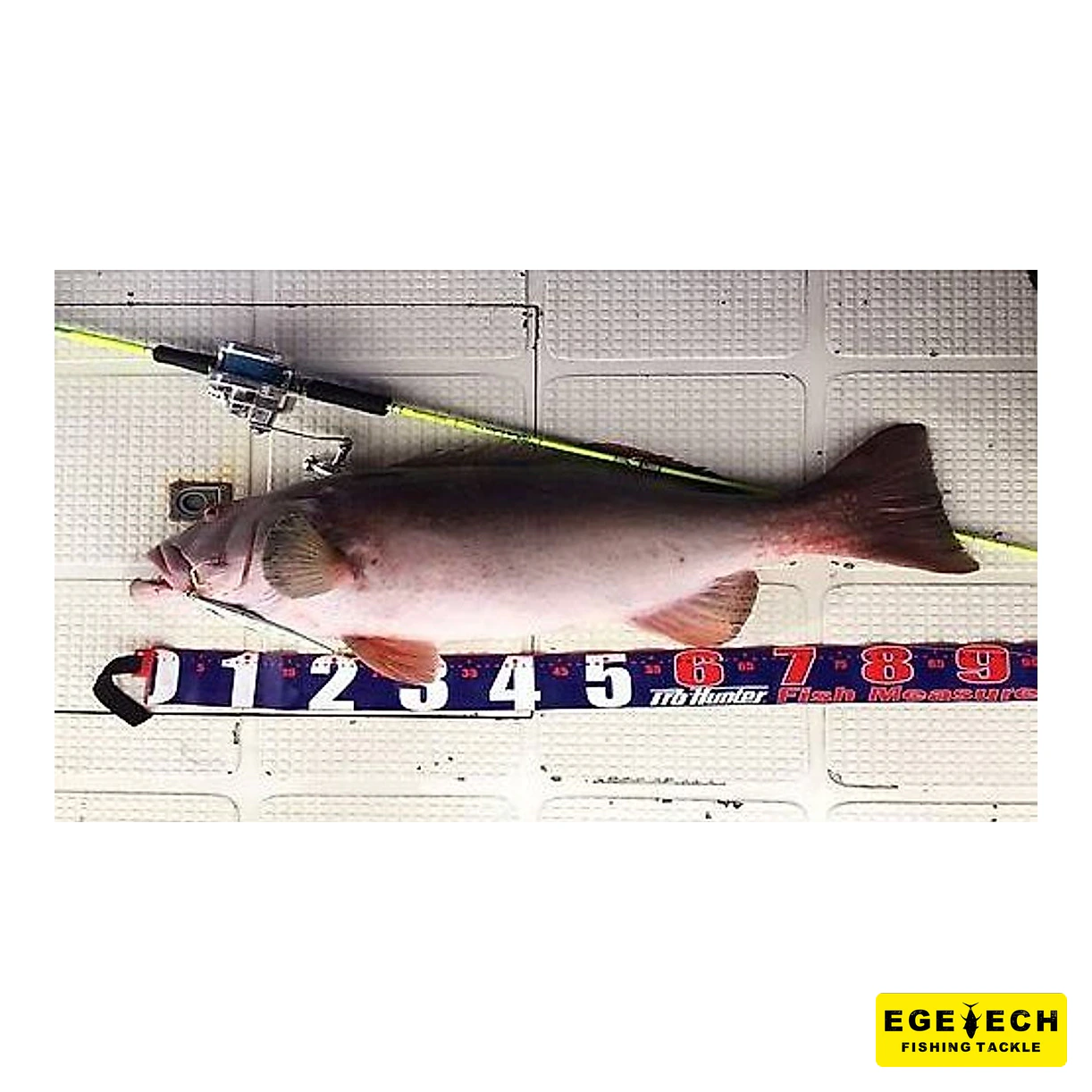 Pro Hunter balık metresi 150 cm ölçüm aparatı görsel 5